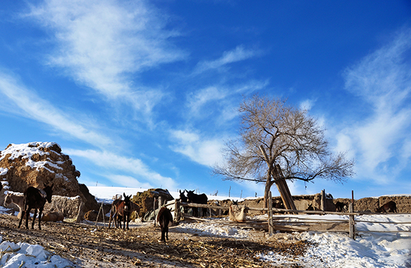 DSC_0080-2.jpg
