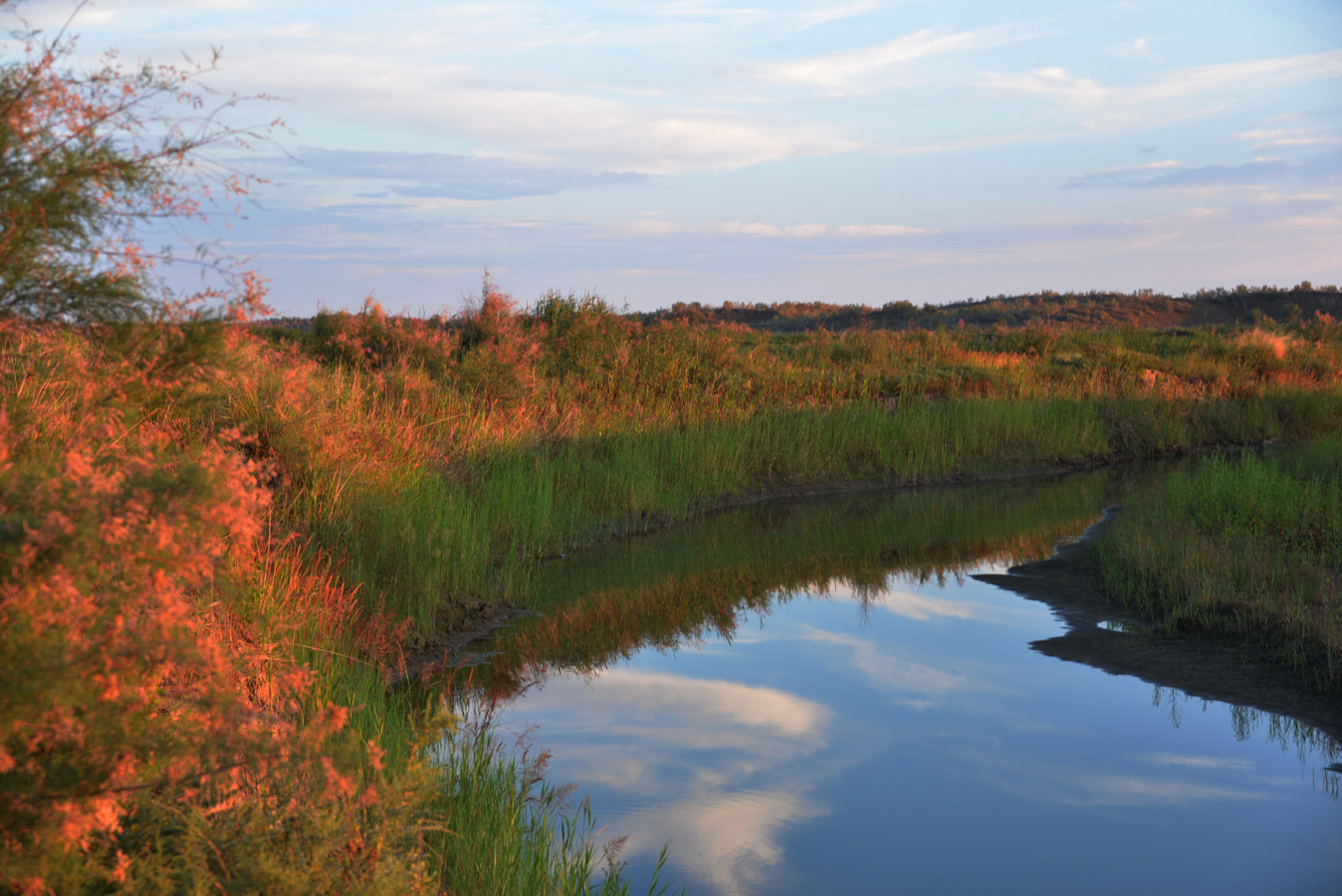 DSC_2672.JPG