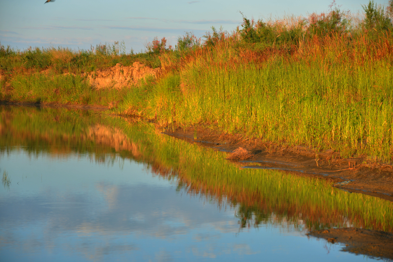 DSC_2688.JPG