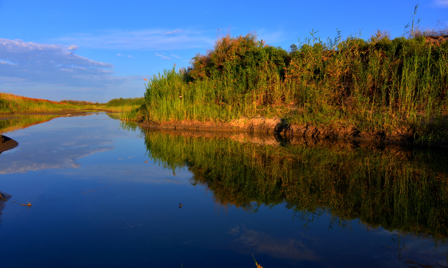 DSC_2703.JPG