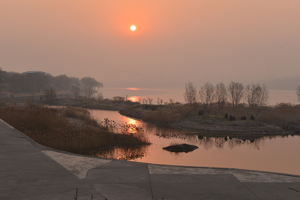 DSC_1316.JPG