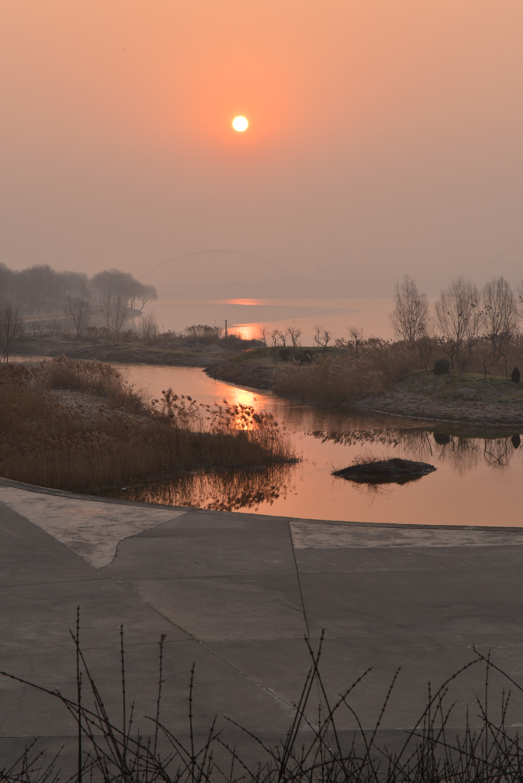 DSC_1317.JPG