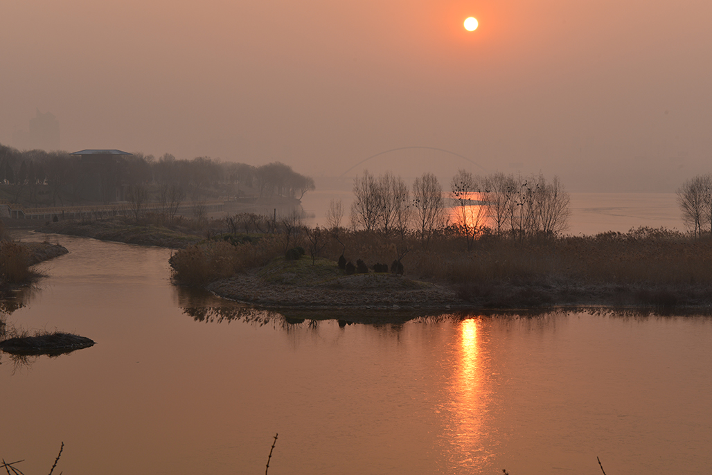 DSC_1320.JPG