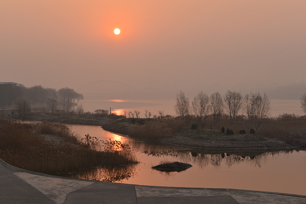 DSC_1318.JPG