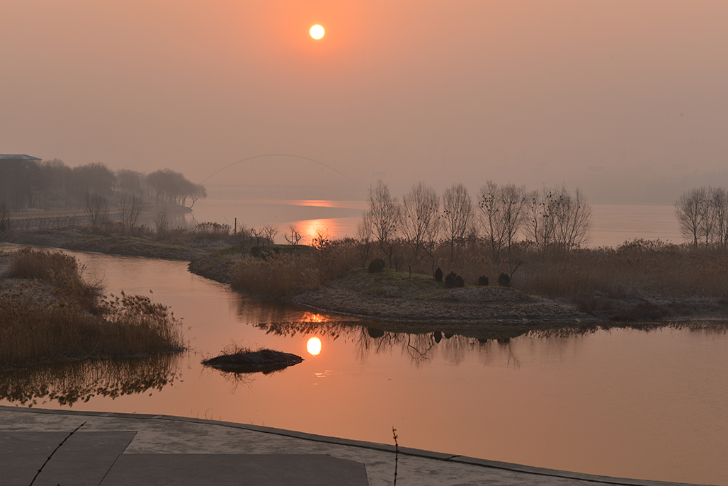 DSC_1319.JPG