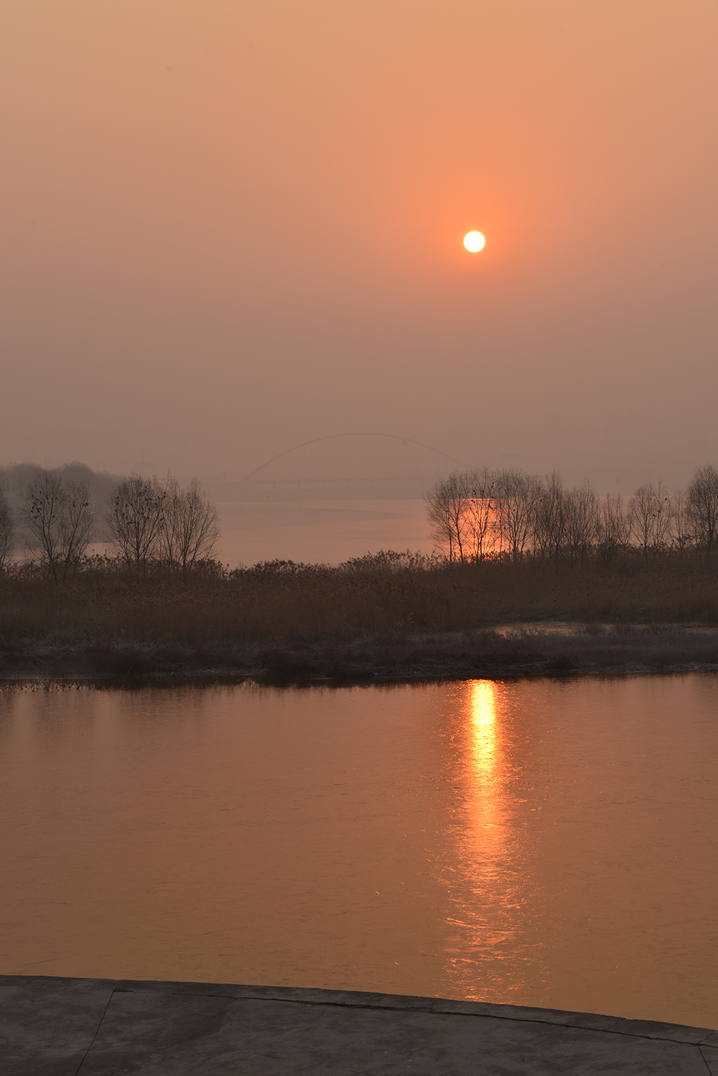 DSC_1321.JPG
