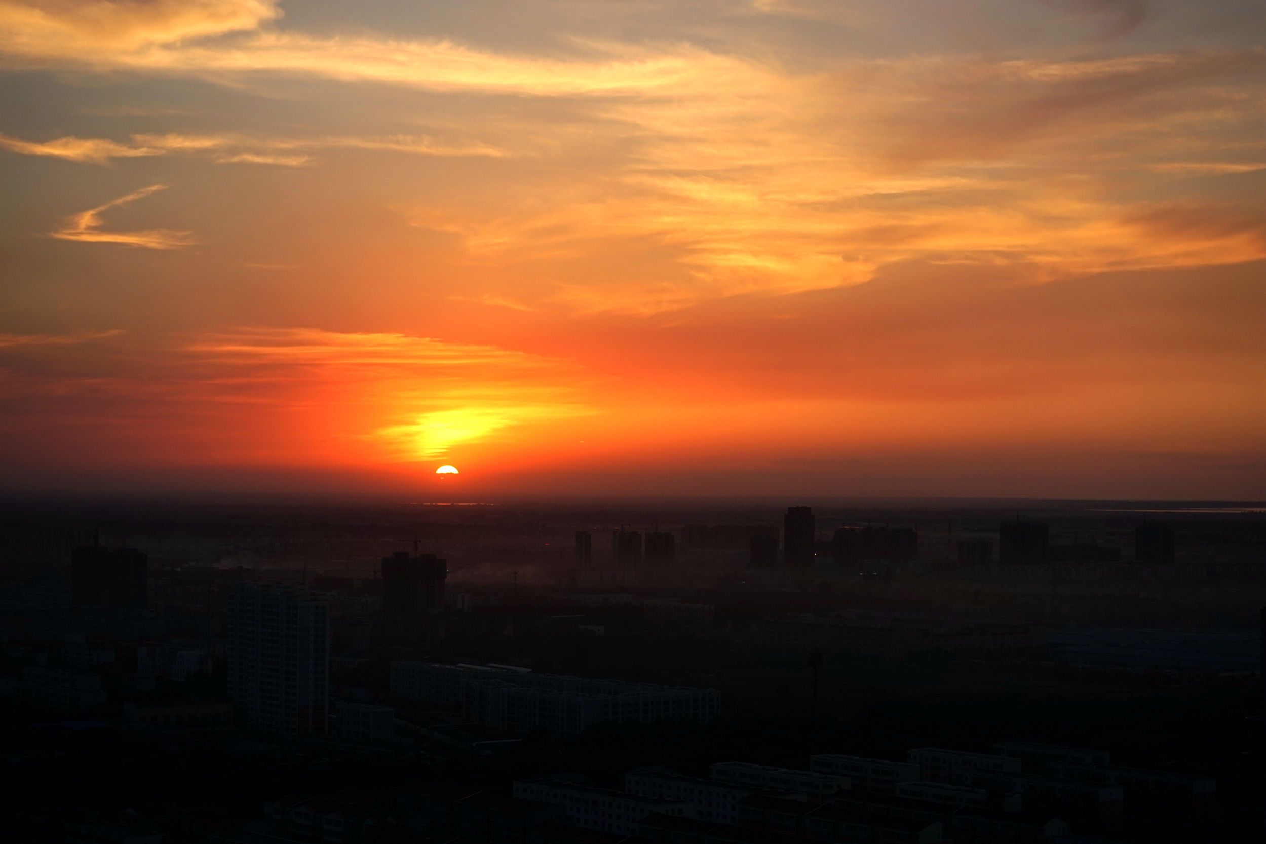 DSC03712_.jpg