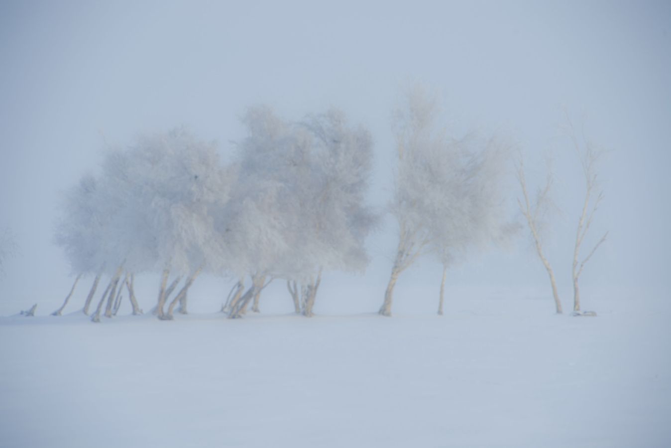 _DSC0759.JPG