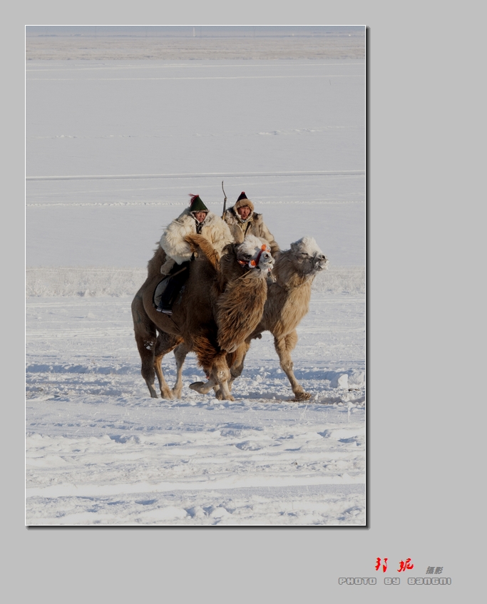 _DSC8750.jpg