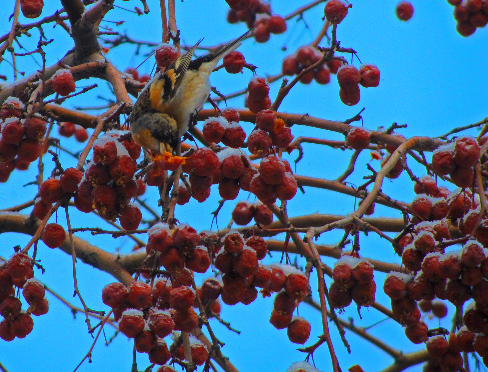 IMG_4272.jpg