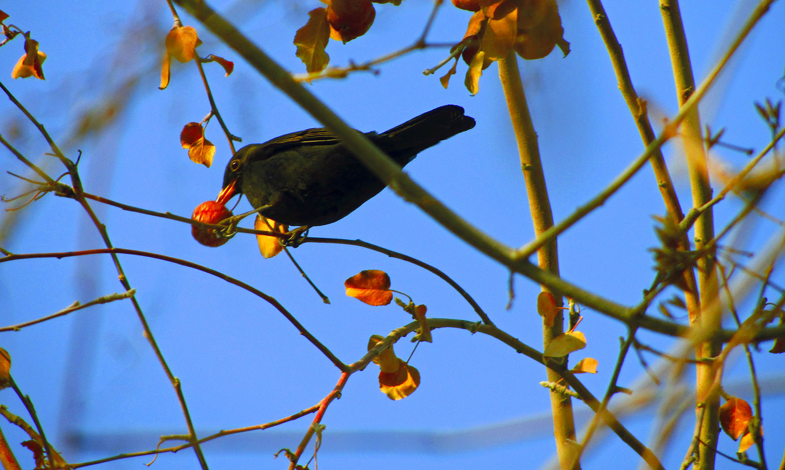 IMG_4173.jpg