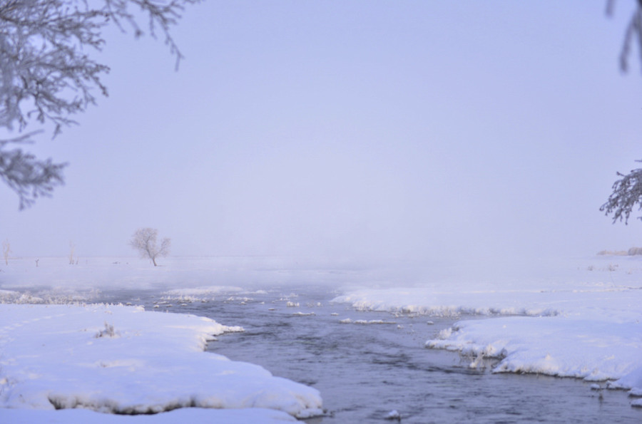 _DSC0876.jpg