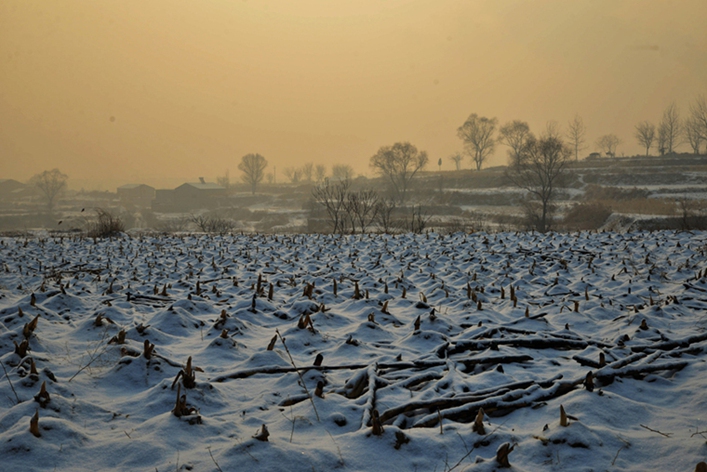 DSC_2644__.jpg