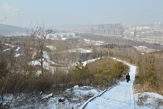 DSC_2787__1.jpg