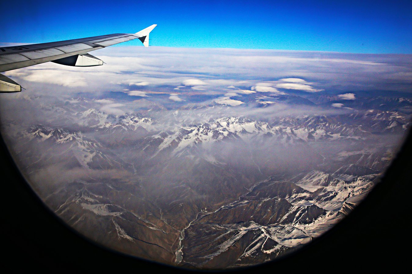 479A738q6.jpg