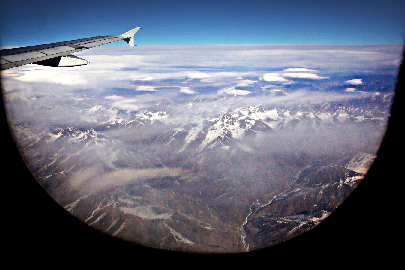 479A7387q.jpg