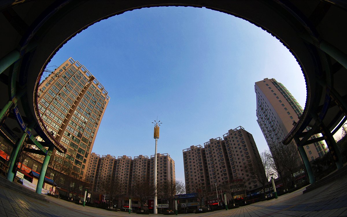 _1290942.jpg
