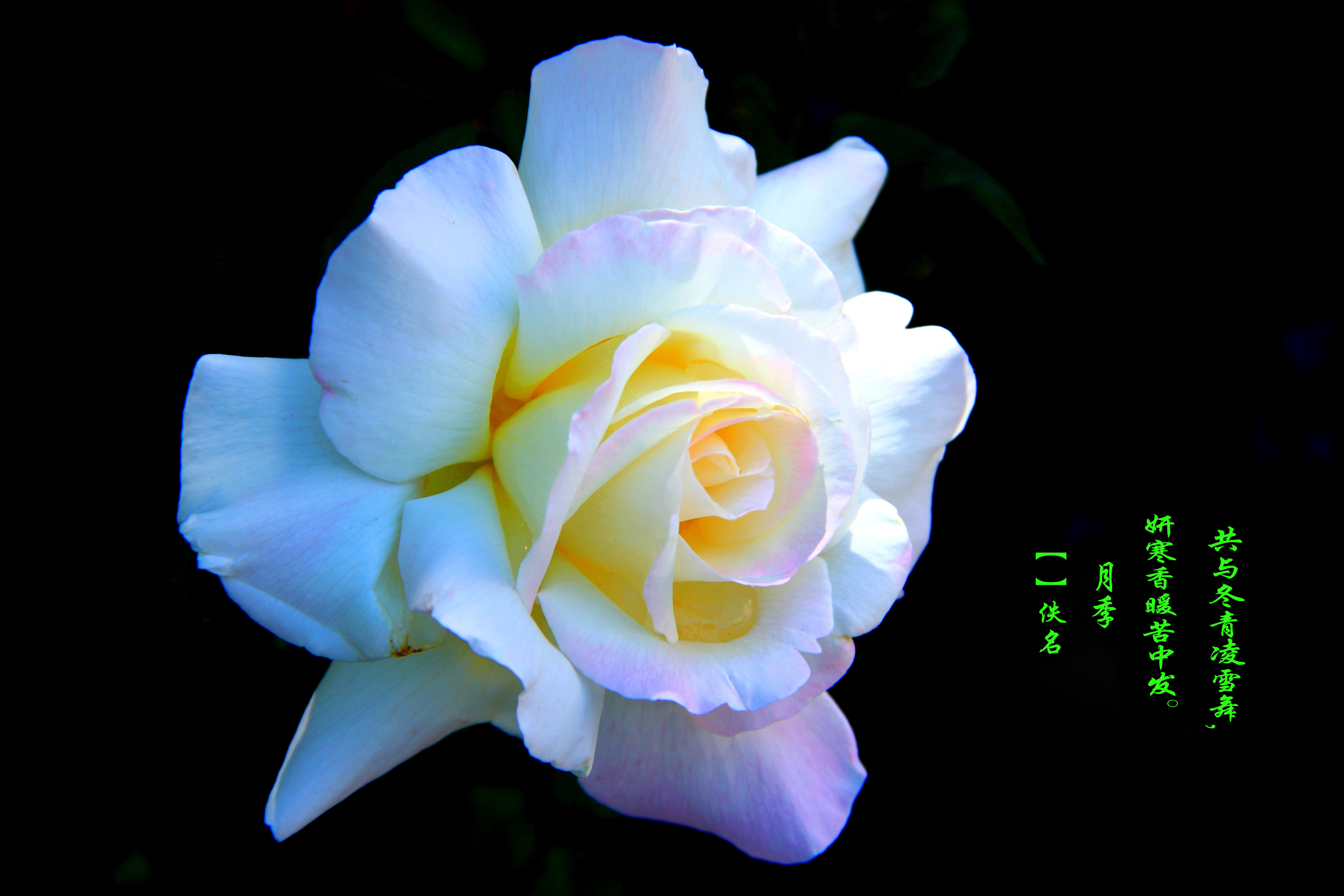 ¼ͣһ-02-̹_1.jpg