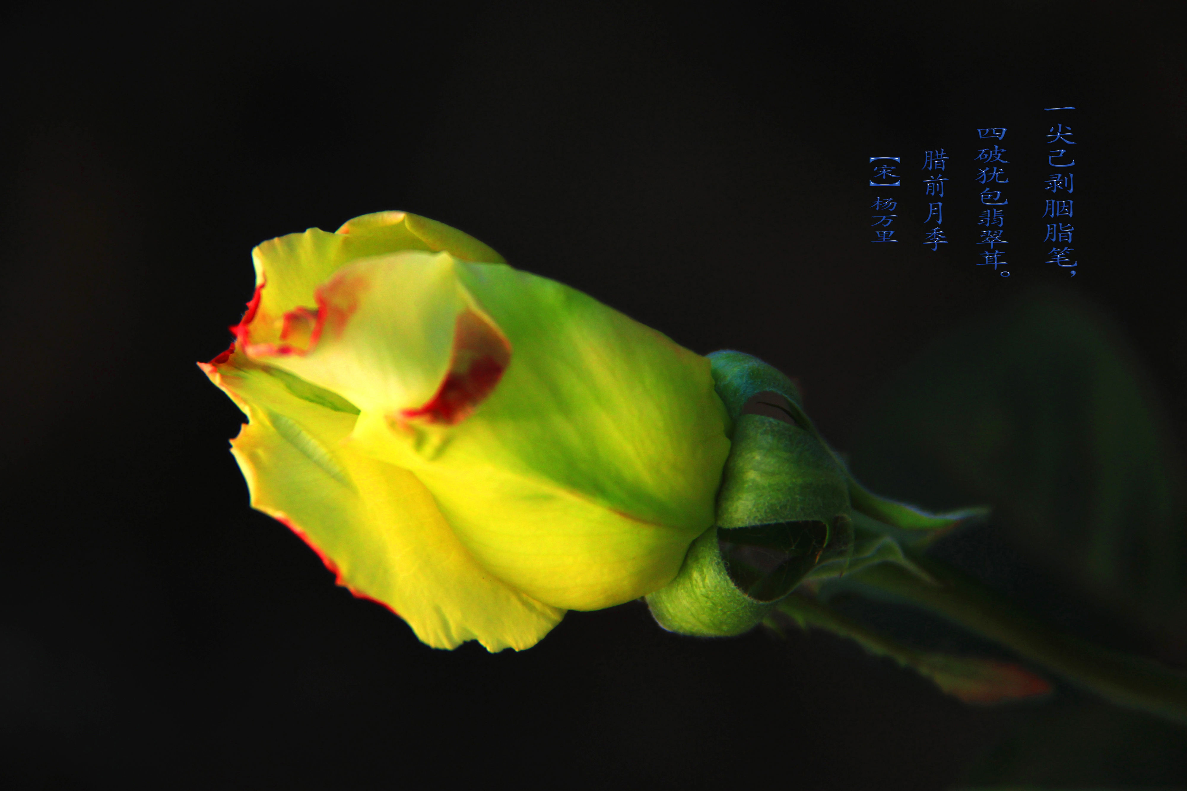 ¼ͣһ-03-һ_1.jpg