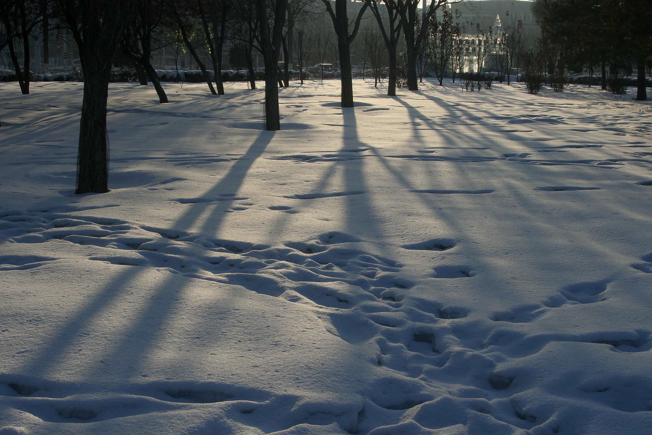 IMG_2112_.jpg