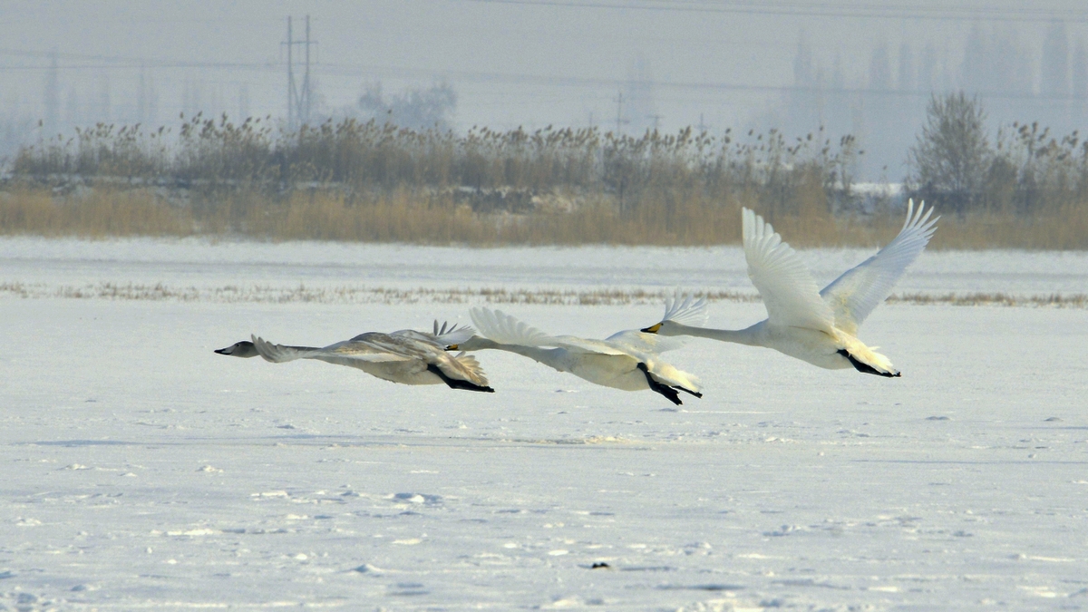 nEO_IMG__DSC0179.jpg