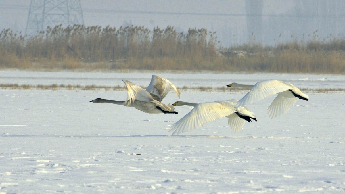 nEO_IMG__DSC0181.jpg