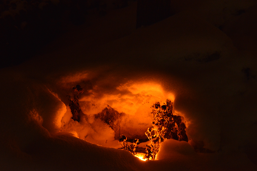 DSC_3065.JPG