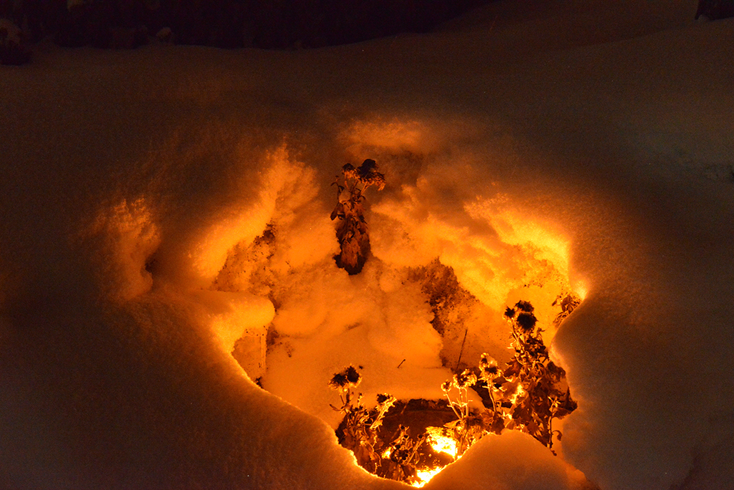 DSC_3066.JPG