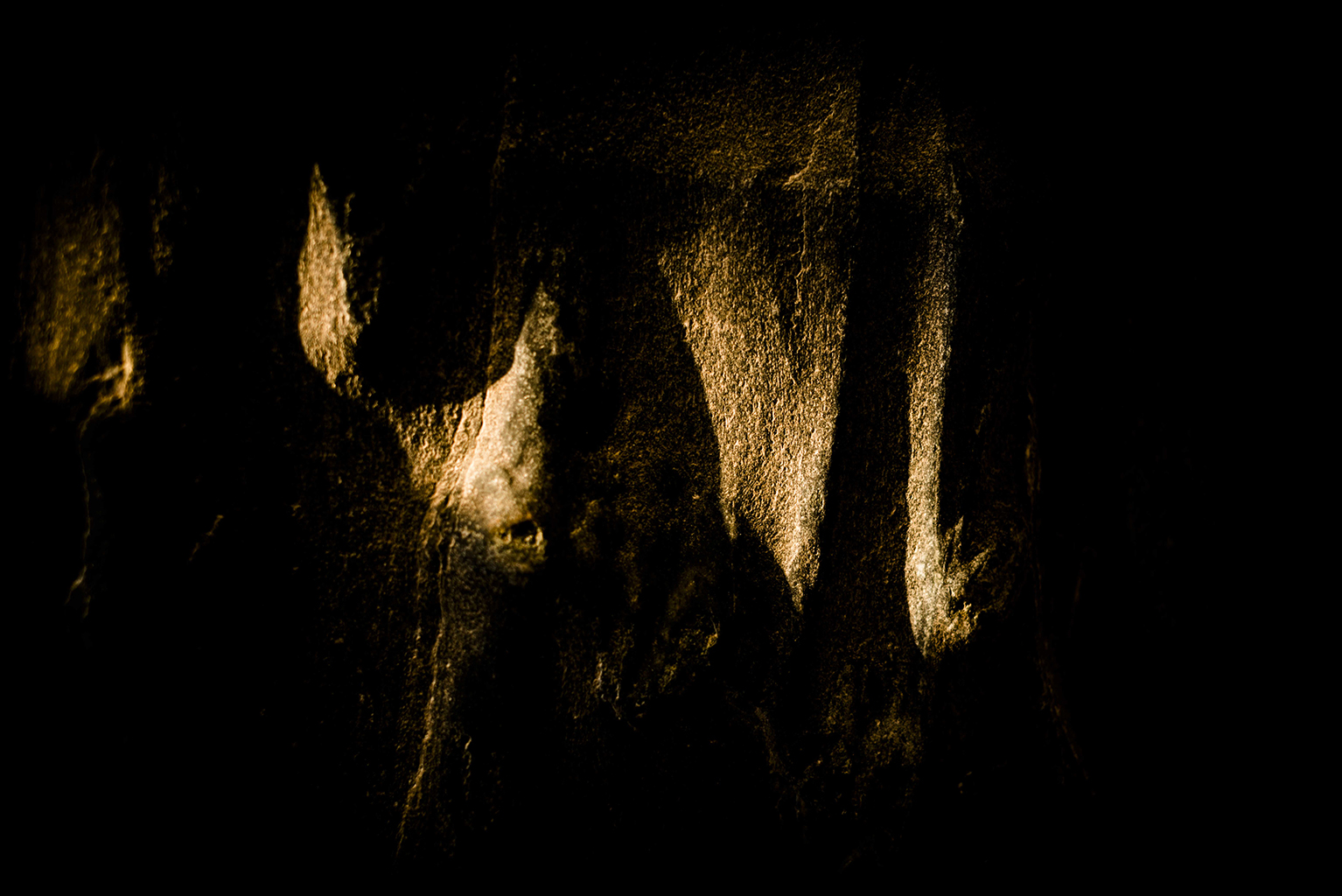 һļ-4.jpg
