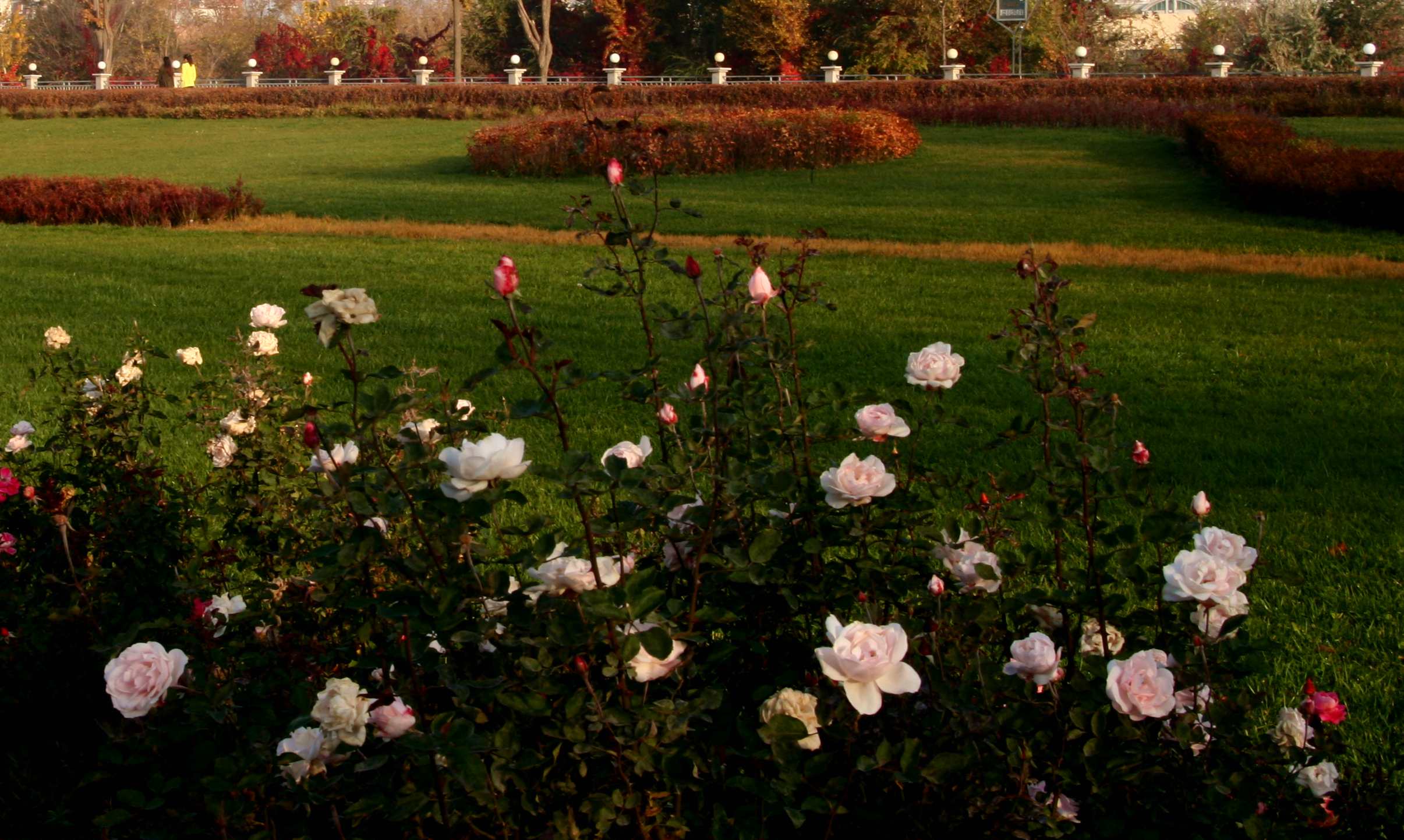 Ƭ 009_1.jpg