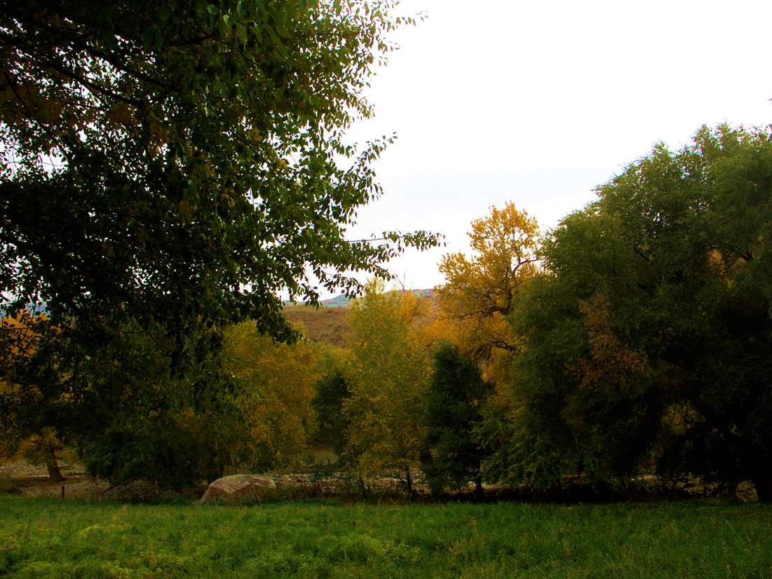 CIMG0084_.jpg