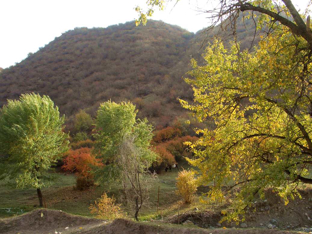 CIMG0162_.jpg