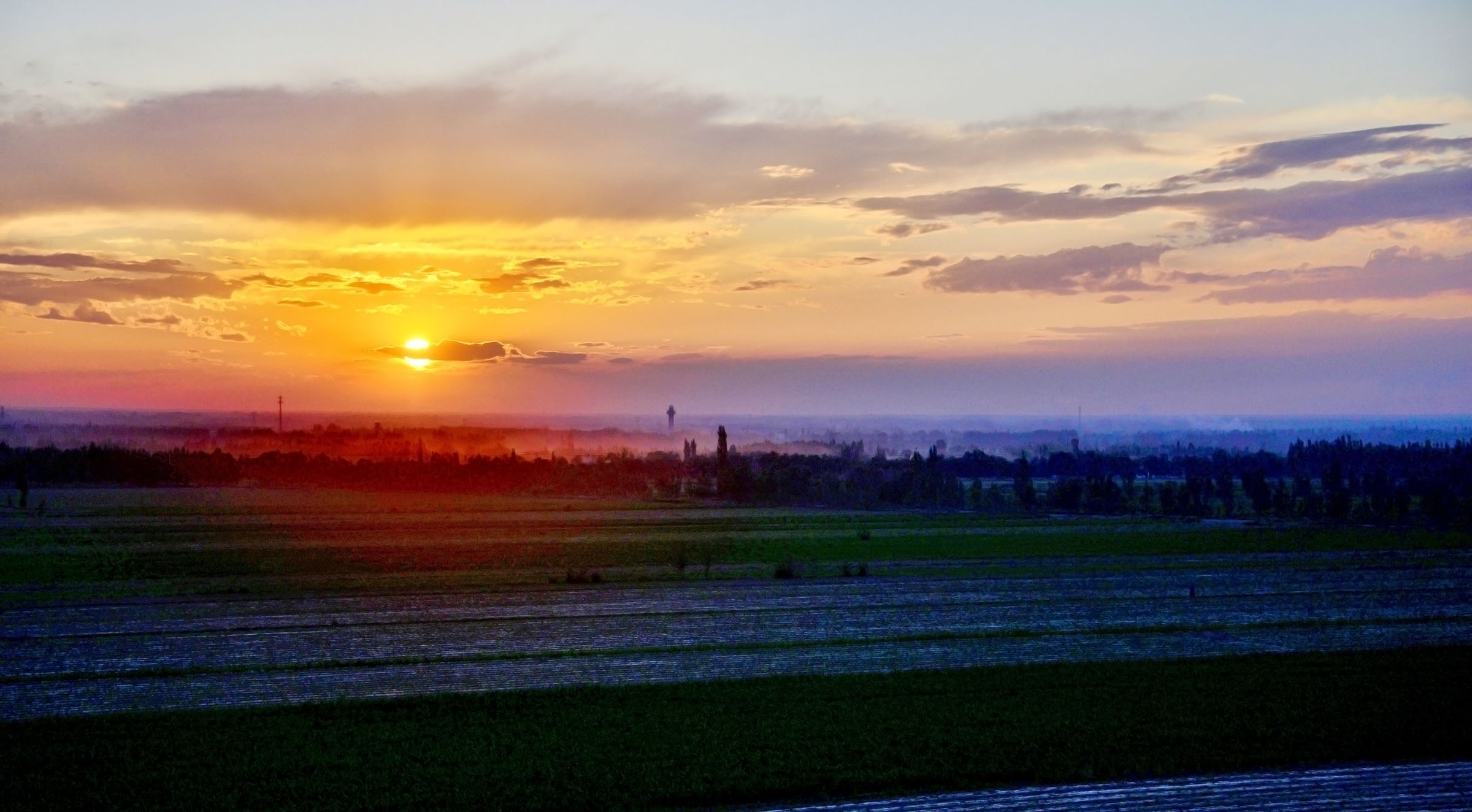 _DSC0930.jpg