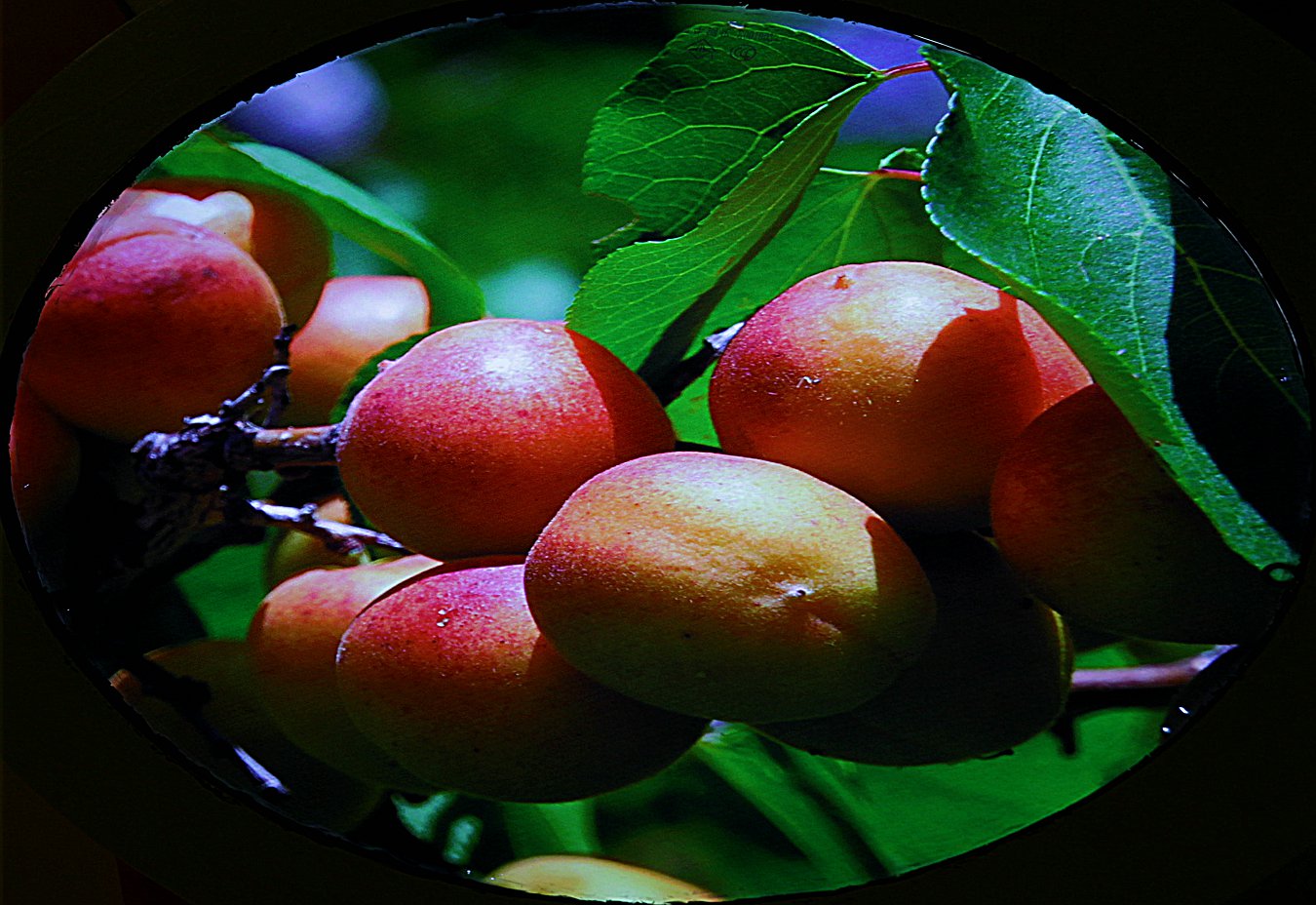 479A7838qw.jpg