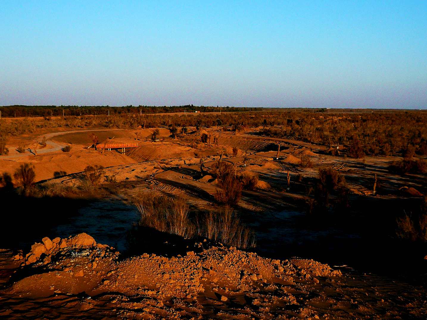 P1050248_.jpg