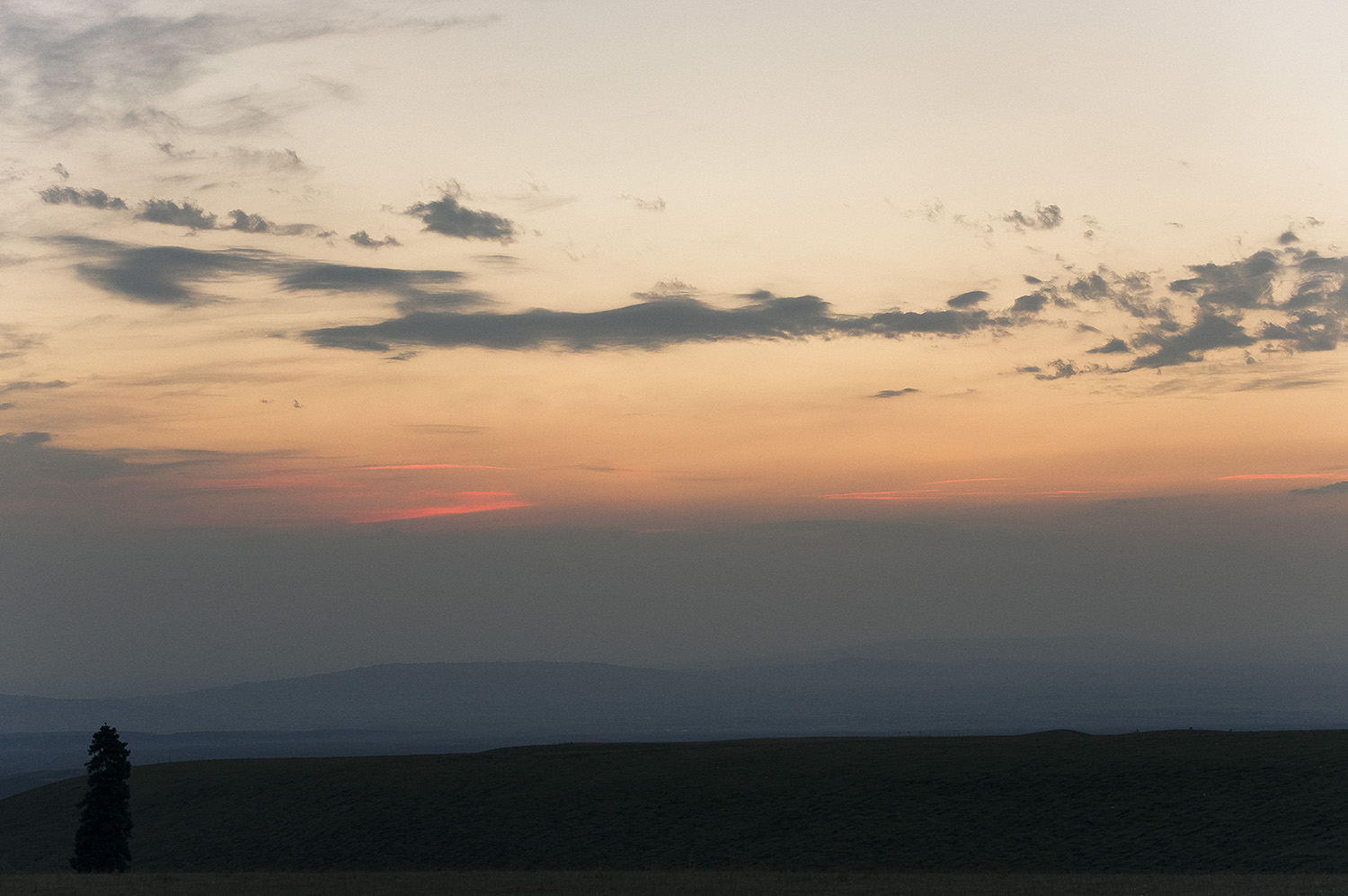 _DSC0344.JPG