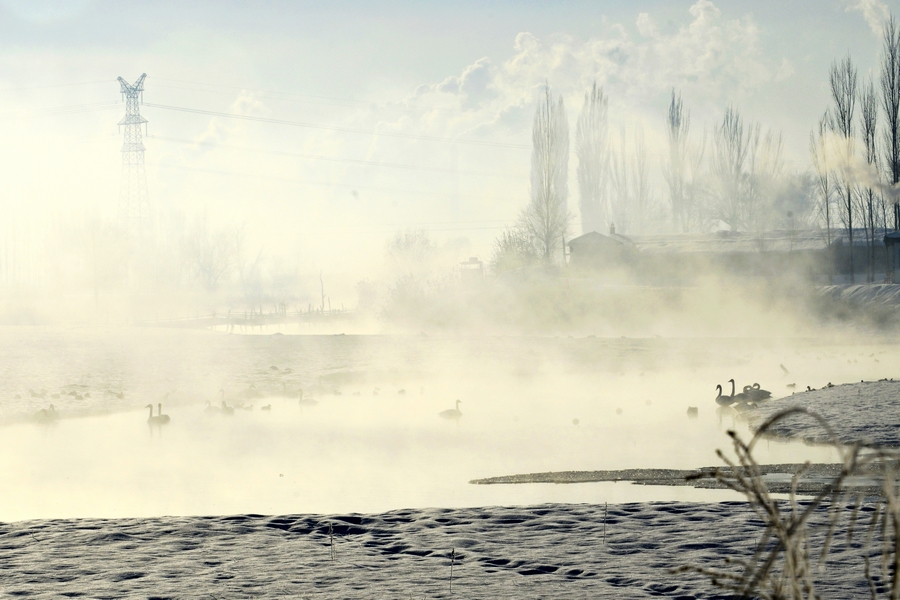nEO_IMG__DSC2370.jpg