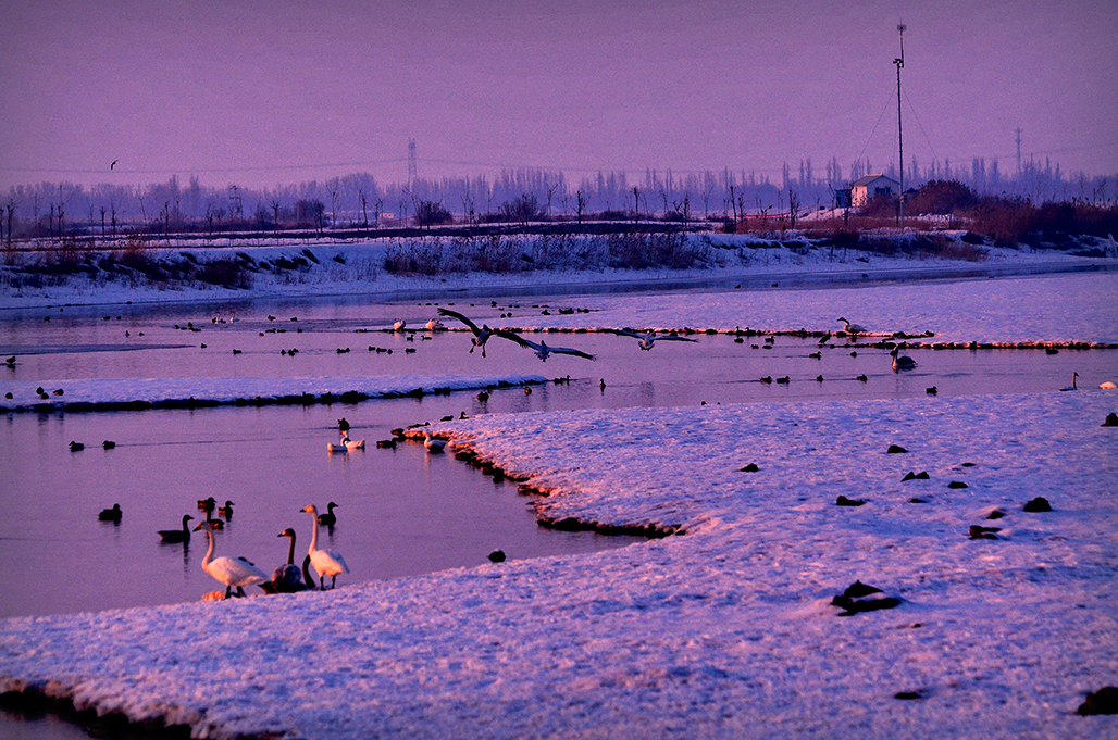 DSC_3839-1.jpg