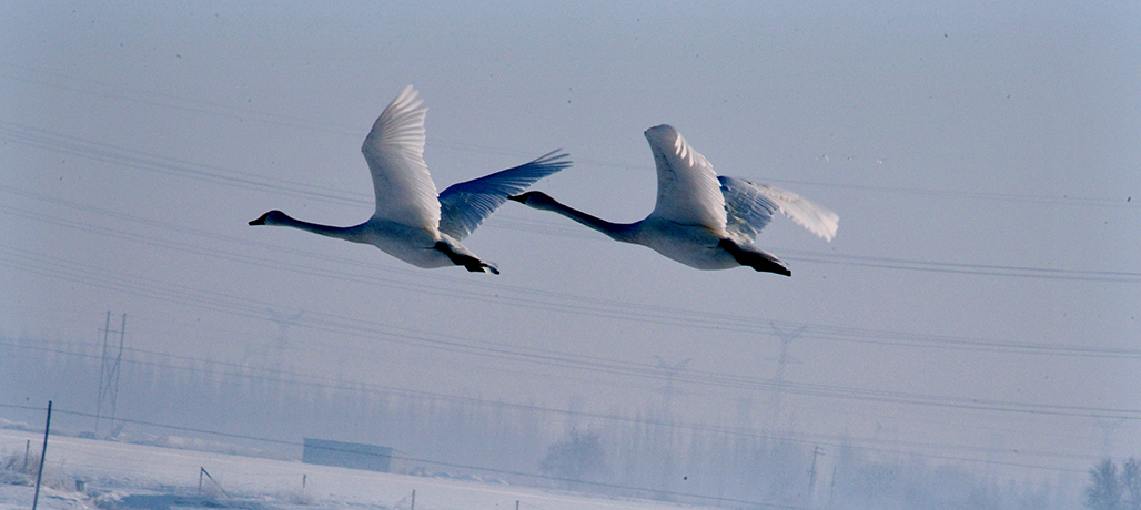 DSC_3943-1.jpg