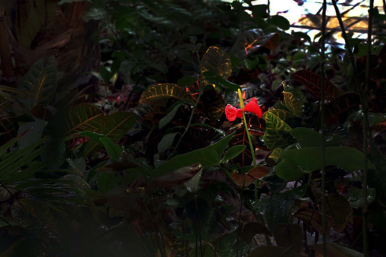 3Q2A6051q.jpg