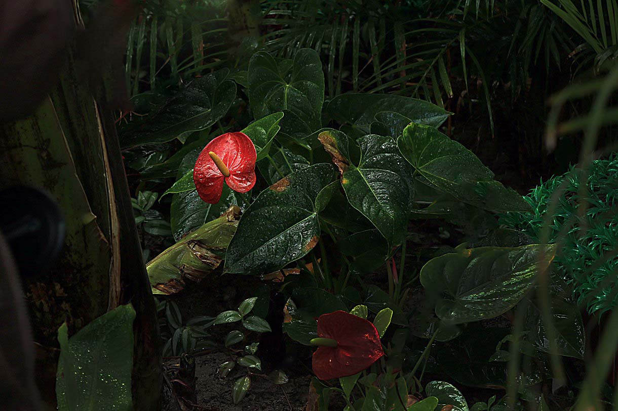 3Q2A6077q.jpg