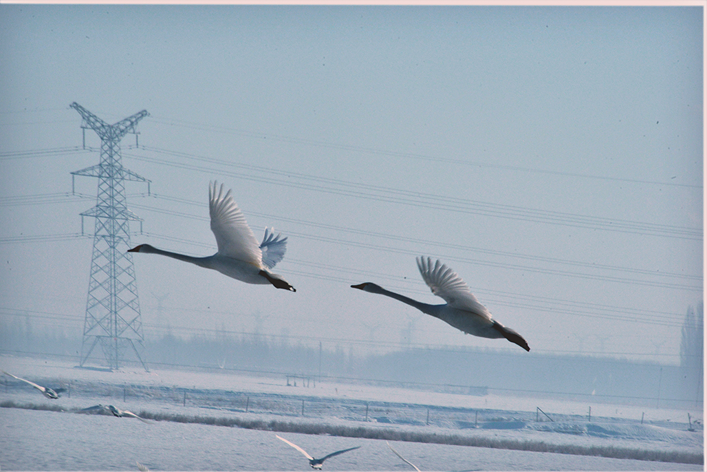 DSC_3941-1.jpg
