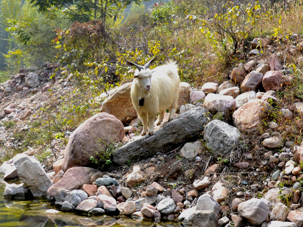 _DSC6751_.JPG