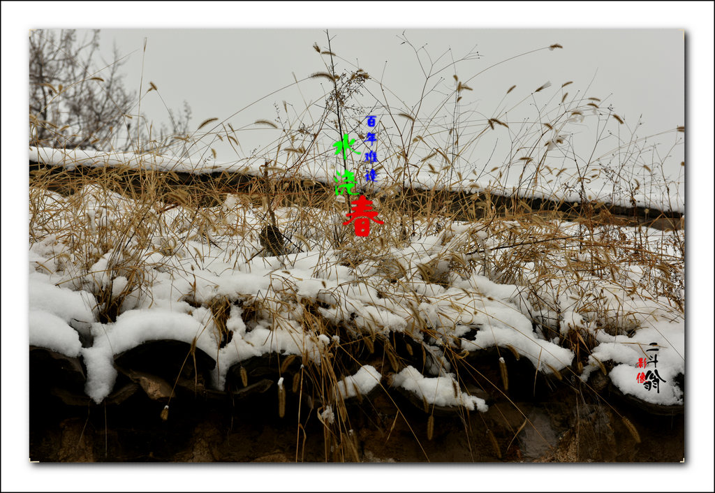 DSC_0738_.JPG