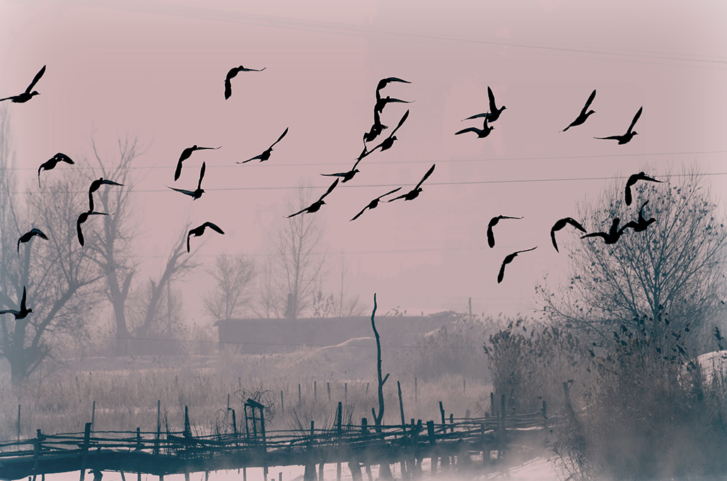 DSC_3050-1.jpg