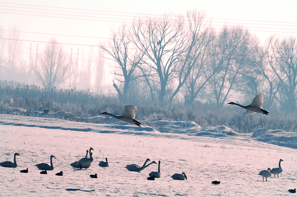 DSC_2916-1.jpg