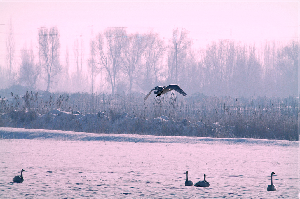 DSC_2943-1.jpg