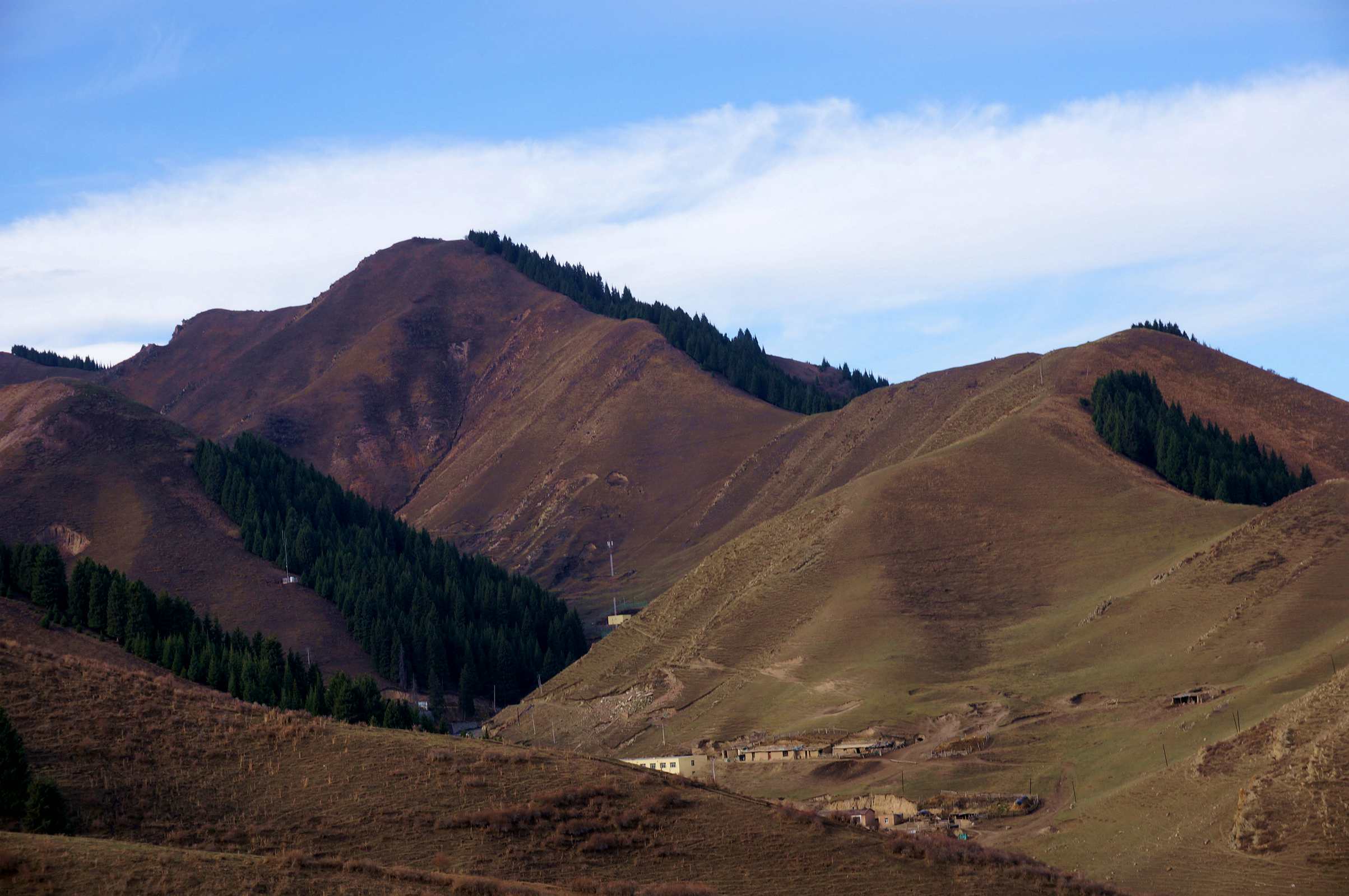 DSC01174_.jpg