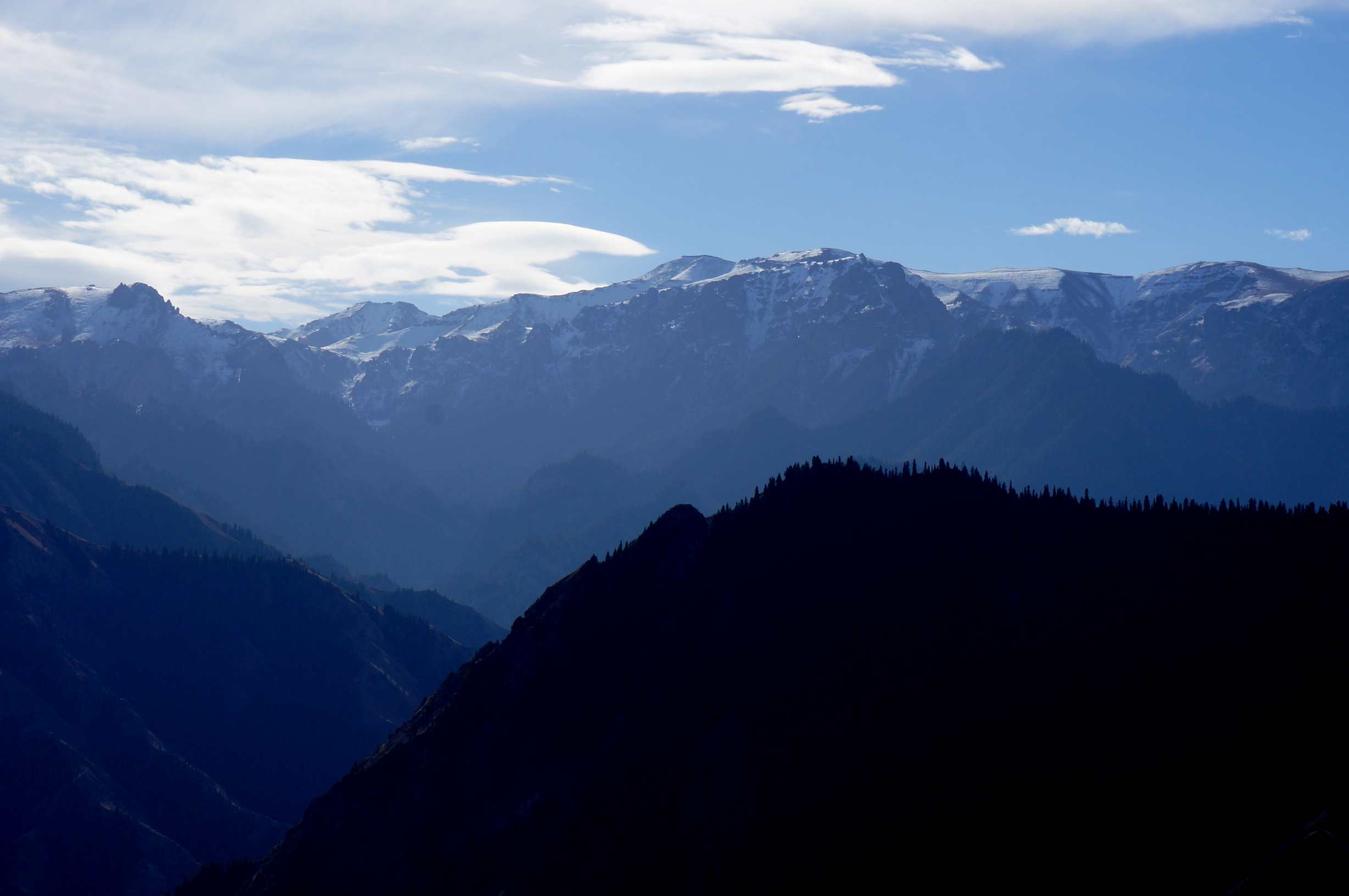 DSC01181_1.jpg