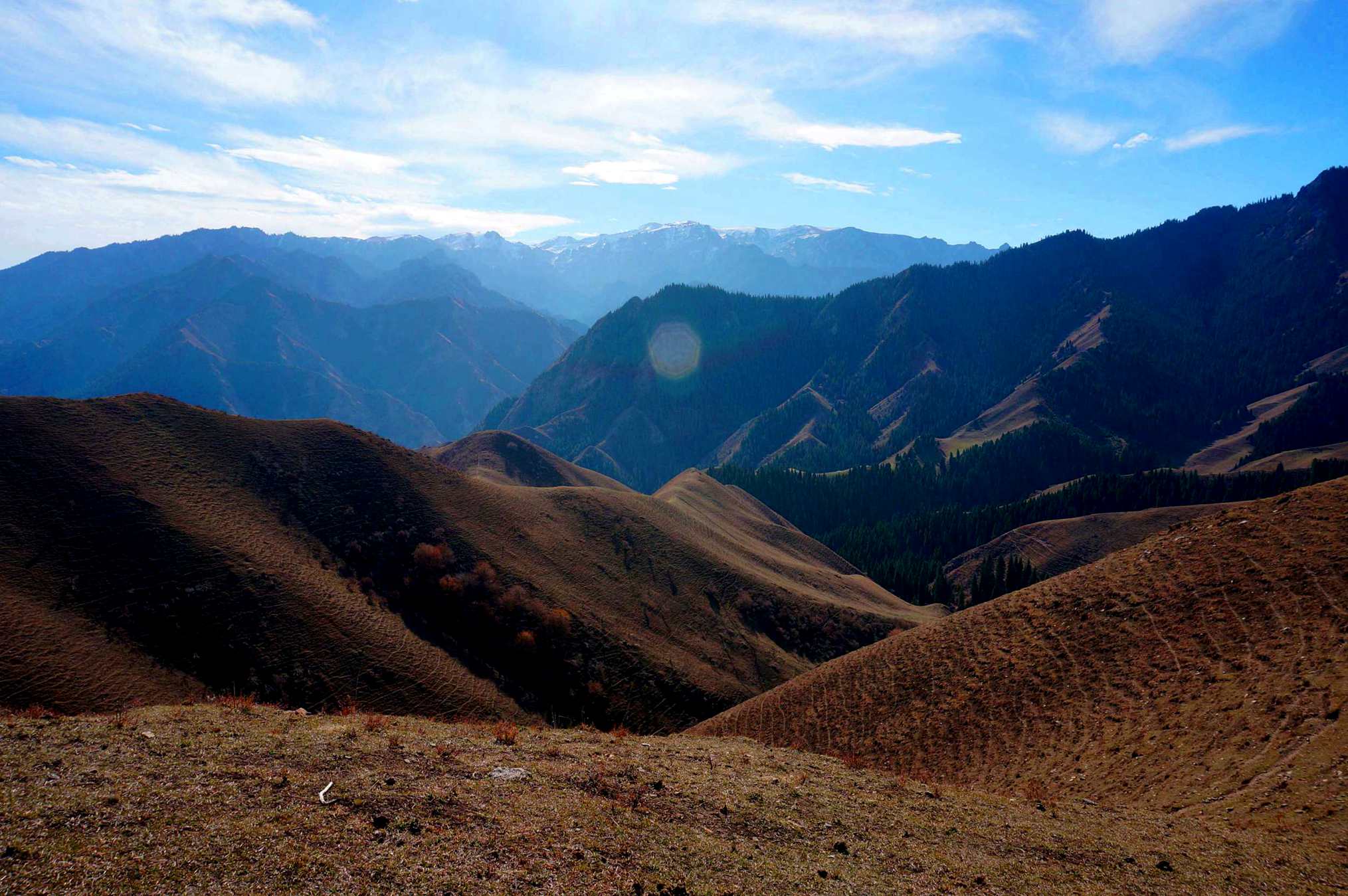 DSC01183 ___.jpg